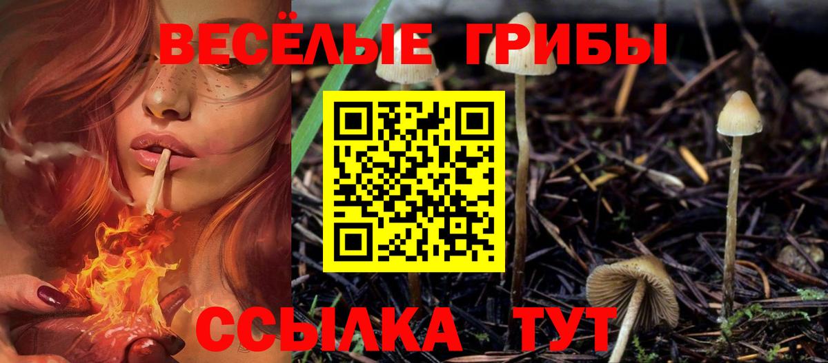 Назарово  Галлюциногенные грибы мицелий  Вход с VPN  Псилоцибиновые грибы ЛСД 