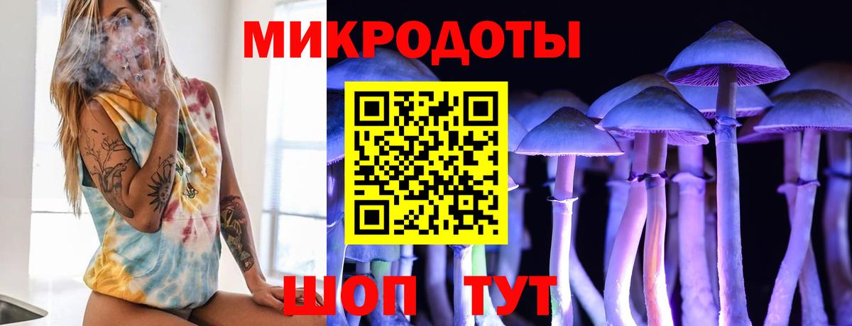Псилоцибиновые грибы Psilocybe Назарово